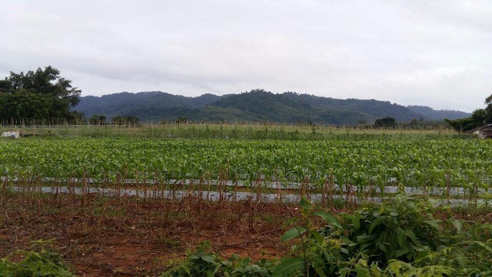 Dachatorn Village Khao Lak Extérieur photo